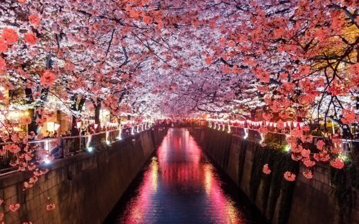 大徳寺観光ガイド|茶の湯ゆかりの塔頭が集まる京都・紫野の禅寺