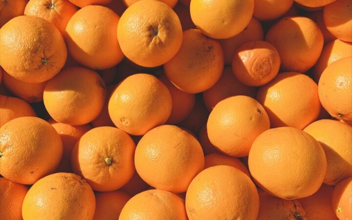 みかん狩りガイド|秋冬の味覚みかんを楽しむ時期と産地