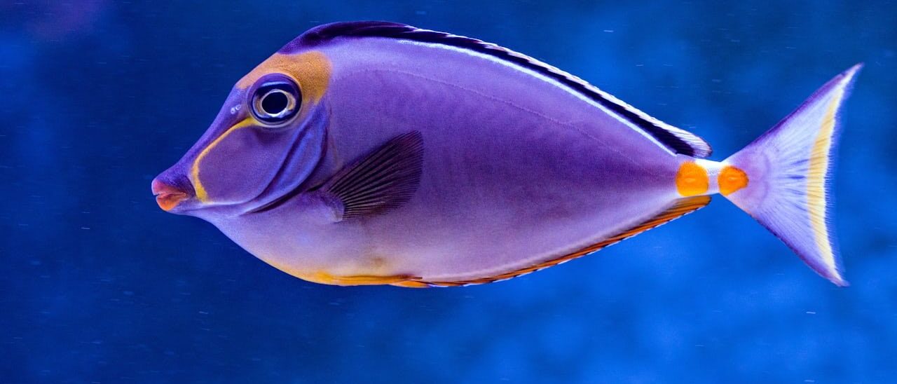 水族館