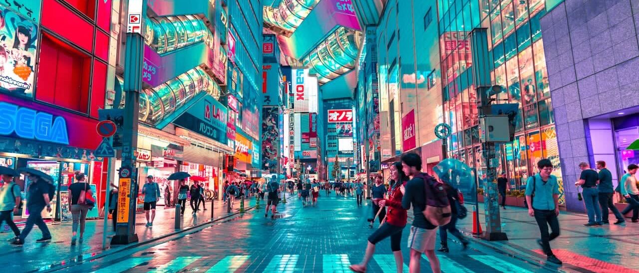展望台からの絶景