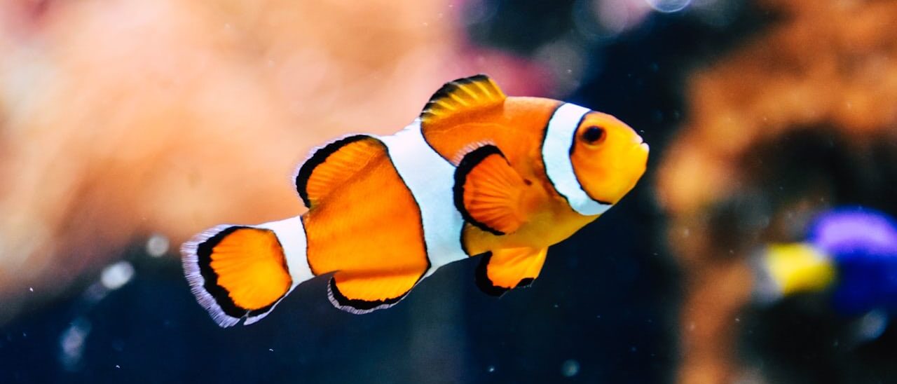 のとじま水族館