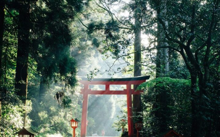 島原城観光ガイド|白亜の五層天守がそびえる長崎・島原のシンボル